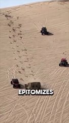 This is called true friend ship