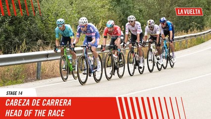 Stage 14 Highlights: Leading the Pack at La Vuelta 2024 🚴‍♂️