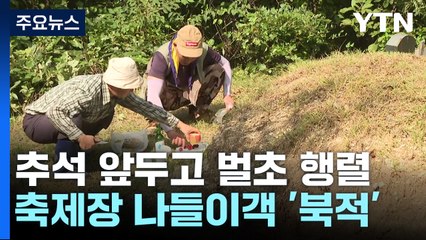추석 앞두고 벌초 행렬...축제장에 나들이 인파 / YTN