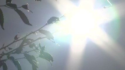 서울 '폭염특보' 38일 만에 해제...내일부터 폭염 꺾여 / YTN