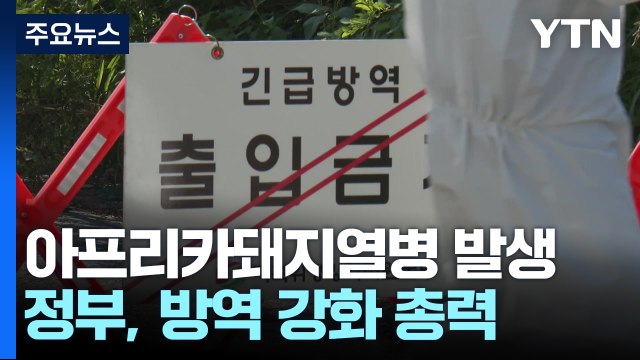 추석 앞두고 또 아프리카돼지열병...방역 총력 / YTN