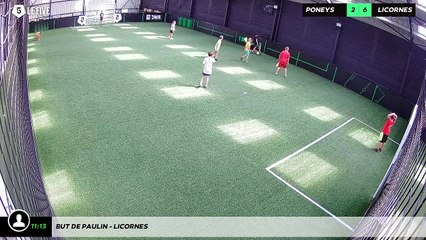 But de Paulin - licornes