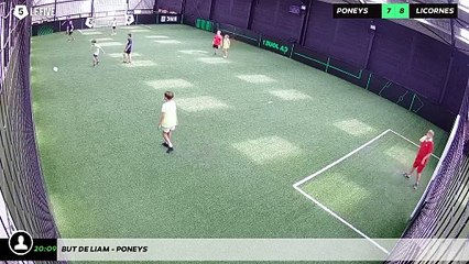 But de Liam - poneys