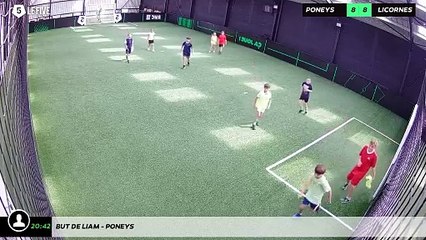 But de Liam - poneys