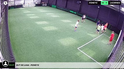 But de Liam - poneys