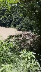 Sair_kar_duniya_ki_#naturephotography_#goodvibes_#passiontravel_#travel_#youtubeshorts_#river_#pahad(360p)