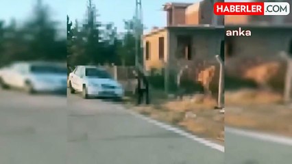 Ankara'da Yavru Köpeği Dirgenle Öldüren Şahıs Tutuklandı