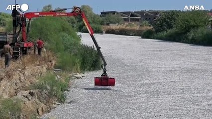 Grecia, il porto di Volos e' invaso da tonnellate di pesci morti