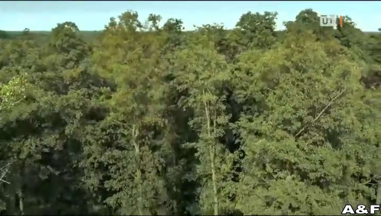 Spreewaldkrimi -09- Spiel mit dem Tod