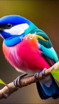 اسلام کا سب سے مضبوط عمل ۔ | Mulana Tariq Jameel ❤️ | Islamic Video