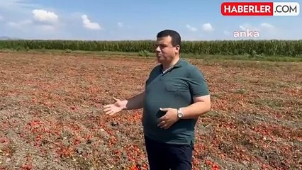 CHP Milletvekili Hasan Öztürk, tarım krizini gündeme getirdi