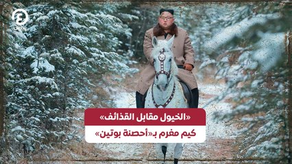 «الخيول مقابل القذائف» كيم مغرم بـ«أحصنة بوتين»