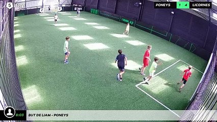 But de Liam - poneys