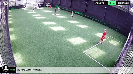 But de Liam - poneys