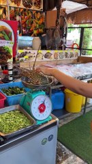 200 Dollar price- Australian Lobster