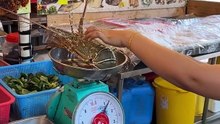 200 Dollar price- Australian Lobster