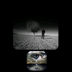 Senza luceDik Dik❤️❤️❤️