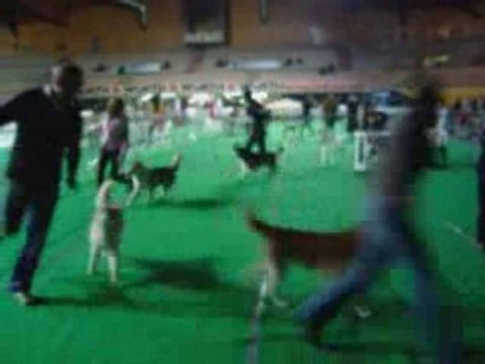 Raduno Cirn  Eboli 2008