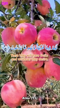 Relaxing Quran Recitation | Surah Al Yaseen (57-58) | Quran Recitation