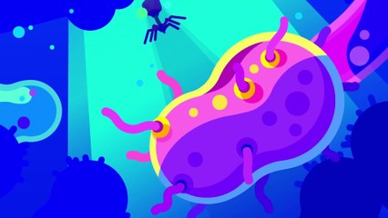 The Deadliest Being on Planet Earth – The Bacteriophage