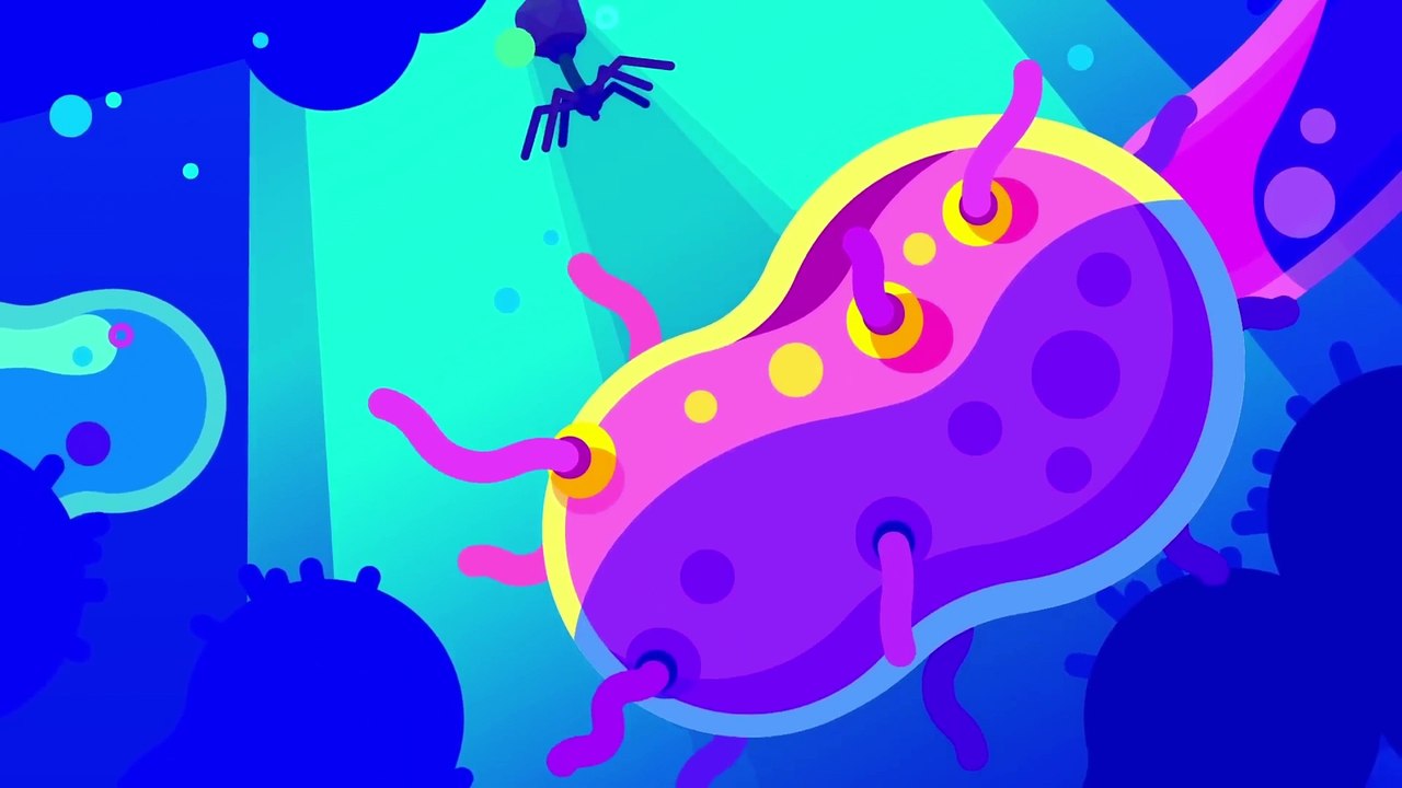 The Deadliest Being on Planet Earth – The Bacteriophage