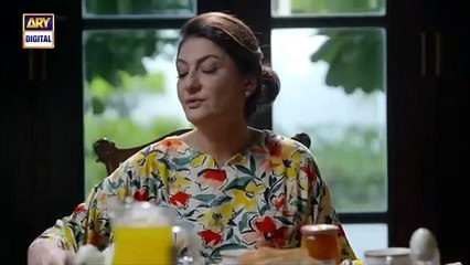 Noor Jahan Episode 28 _ 30 August 2024 - ARY Digital