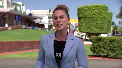 Animal handler hospitalised after attack by a tiger on the Gold Coast