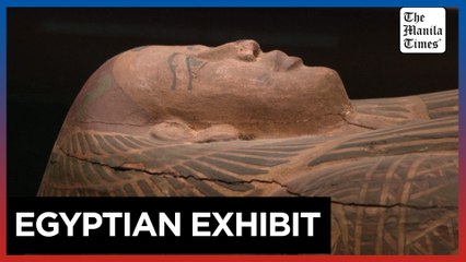 Shanghai Museum's 'Meow Night' unleashes feline frenzy