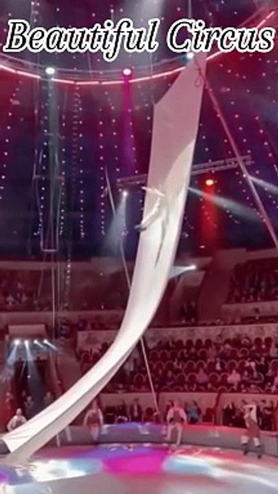 Circus