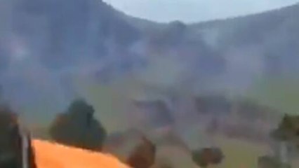 Wild Tiger Populations