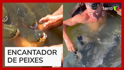 Homem 'encantador de peixes' viraliza ao 'domesticar' animais aquáticos