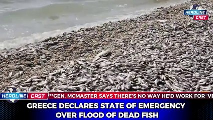 Greece declares state of emergency over flood of dead fish