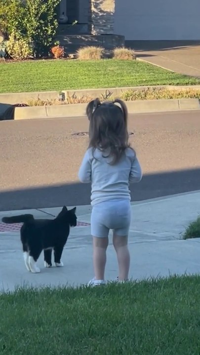 Funniest Pets Ever Baby and Cats and Dogs #dogs #shorts #cats #funnypet #animals #cuteanimals