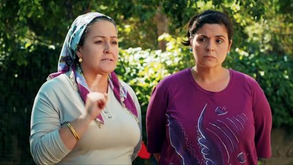 13. Hayat, Amor Sin Palabras (Ask Laftan Anlamaz), en español