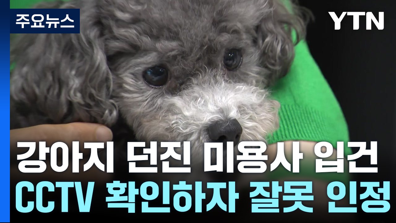 꼬리 흔드는 강아지 '휙' 던져 골절...미용사 입건 / YTN