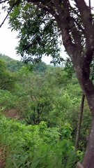 Experiencing Tranquility and Sustainability Eco Villa Resort in Bandarban 06