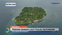 Pesona Bawah Laut Pulau Dutungan Sulawesi Selatan