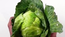 Chicken_Cabbage_Momos_#shorts