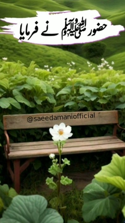 Nabi Kareem SAW Ne Irshad Farmaya /New Islamic Whatsapp Status /Urdu Hadees /Hadees Of prophet muhammad SAW /Hadees quotes /Hadees e kisa /Hadees Nabvi /