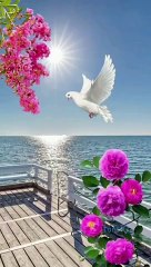 Beautiful_nature_status_|_Beautiful_nature_scenery_|_peaceful_music_shorts_#shorts_#4k_#trending_#yt(360p)