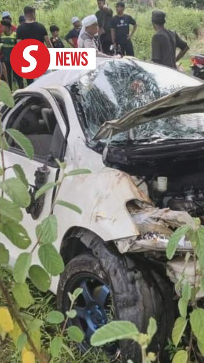 Car swerves to avoid monkey, crashes, killing two in Baling