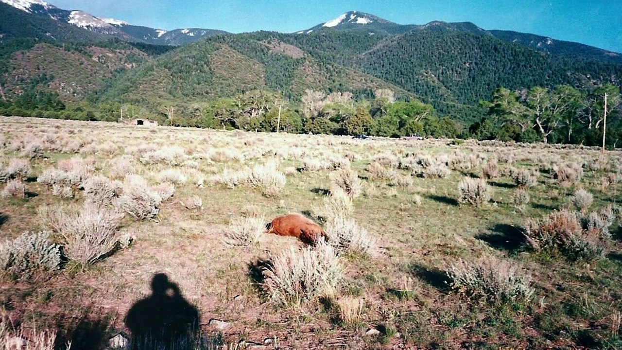 Révélations Paranormales - La Montagne des extraterrestres