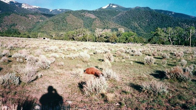 Révélations Paranormales - La Montagne des extraterrestres