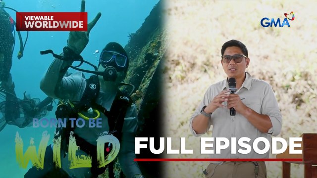 Returning rescued animals back in their natural home (Full Episode) | Born to be Wild