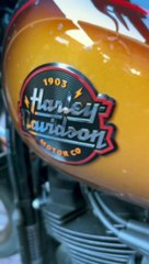 Harley Davidson breakout