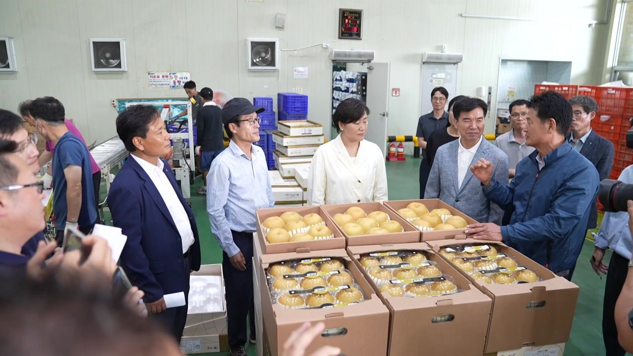 송미령 장관 "사과·배 3만 톤 추석 전 공급 예정" / YTN