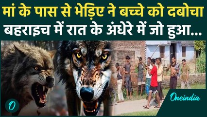 Bahraich: आदमखोर भेड़िए ने फिर बच्चे को दबोचा, Bhediya मची दहशत | Wolf Attack | वनइंडिया हिंदी