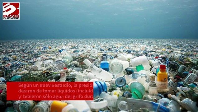 Beber agua de botellas de plástico aumenta la tensión arterial y el riesgo de desarrollar cardiopatías