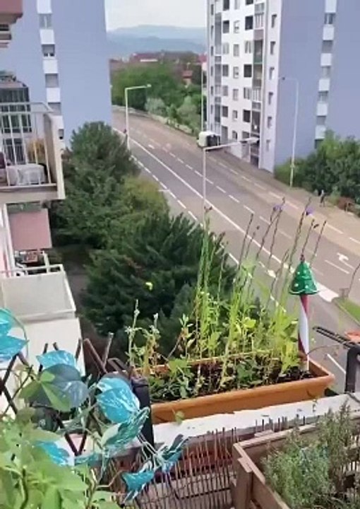 Course poursuite à Colmar entre la police et un homme à scooter