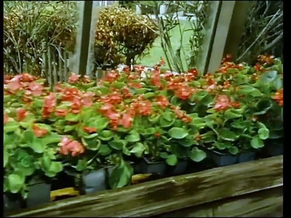 Der Alte S03E07 - Der Gärtner